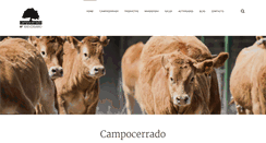 Desktop Screenshot of campocerrado.com